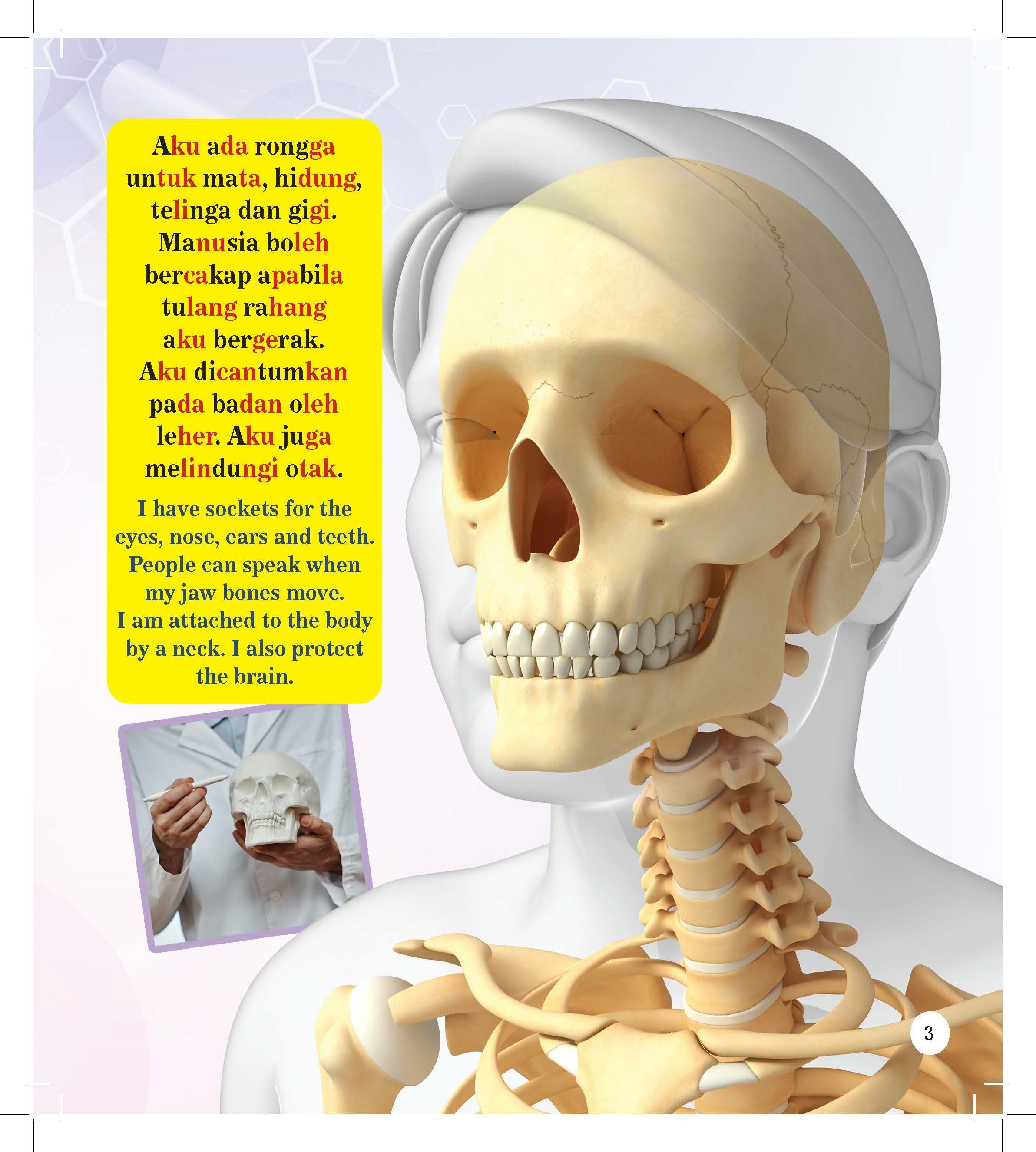 Trivia Kanak-kanak Tentang Badan Manusia Dwibahasa