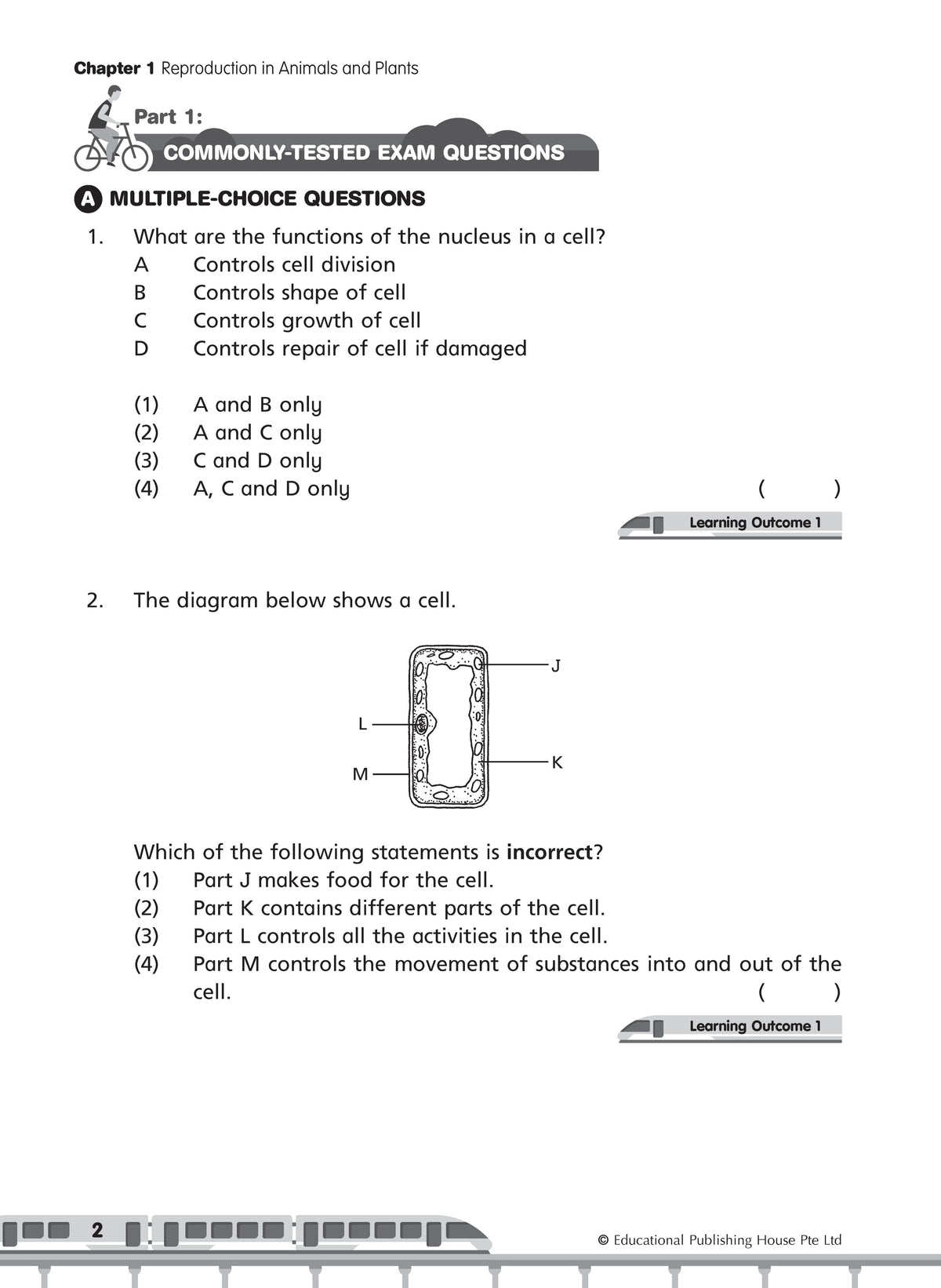 Primary 5 Science Commonly-Tested & Challenging Exam Questions