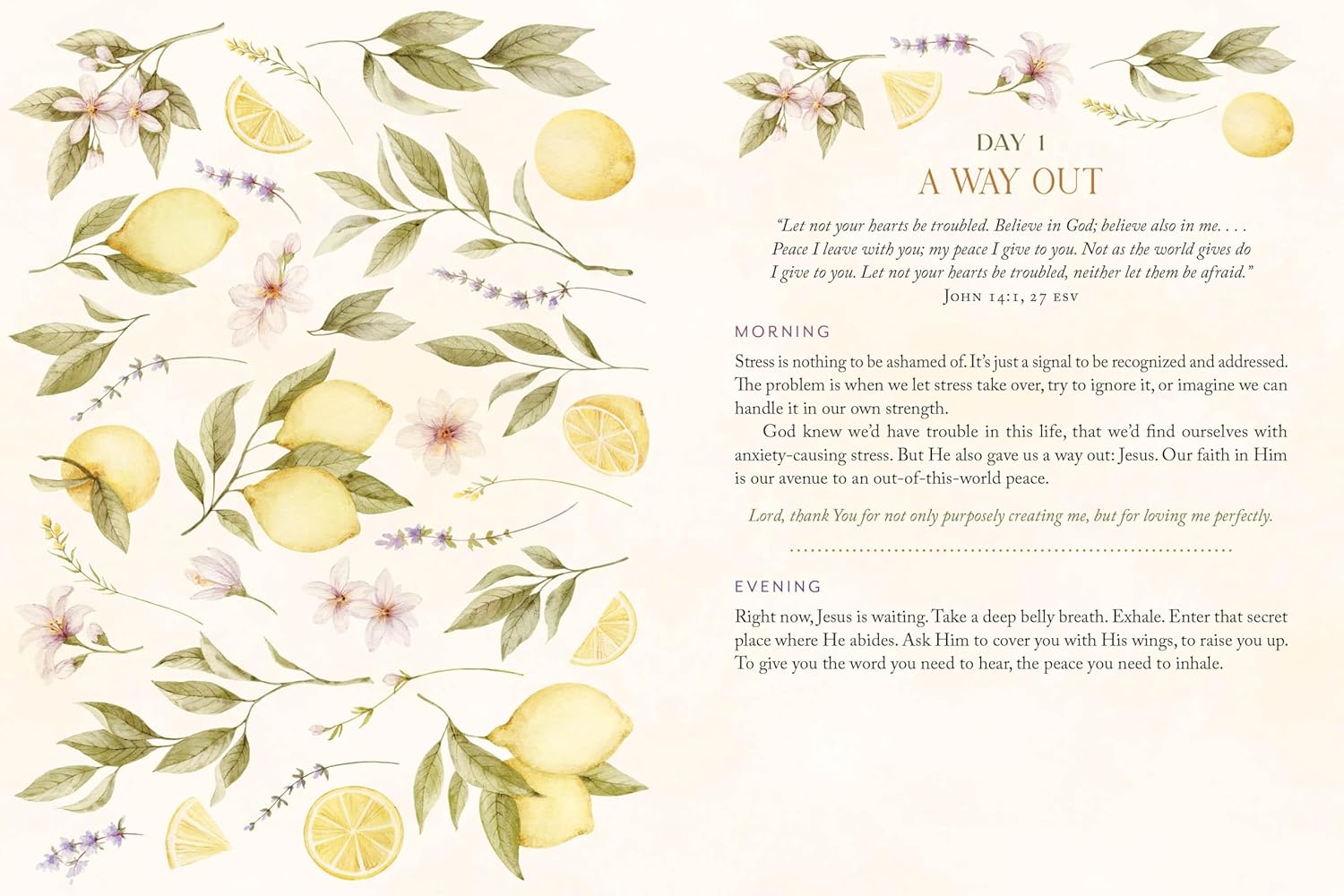 Stress Less, Pray More for Morning and Evening: A Daily Devotional