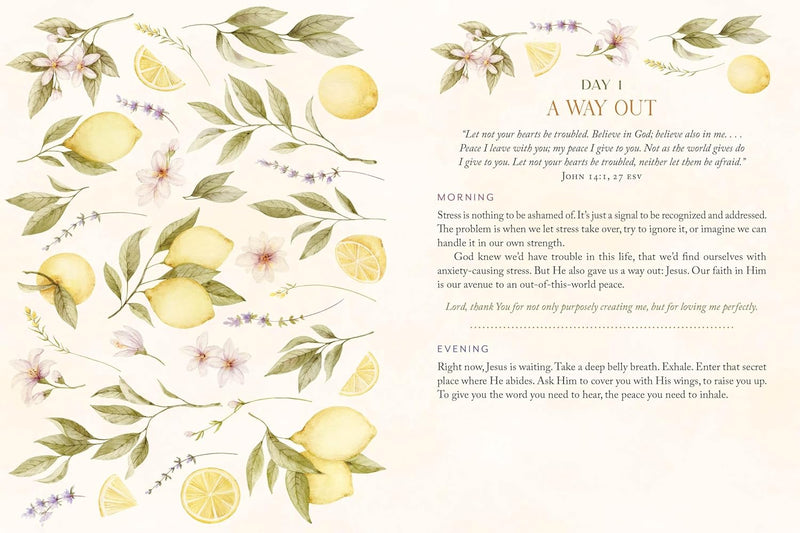 Stress Less, Pray More for Morning and Evening: A Daily Devotional