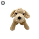 Uw Ss 12 Brown Dog