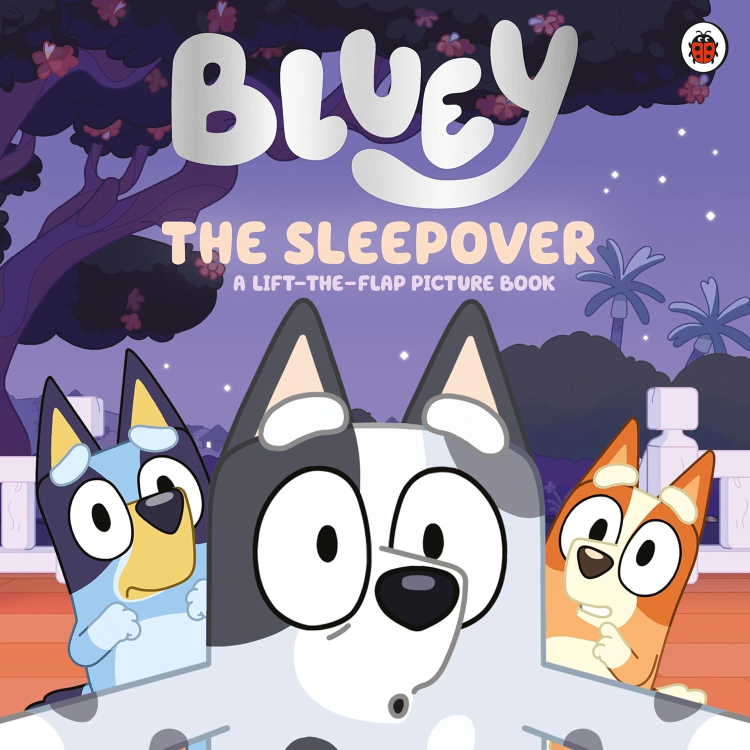 The Sleepover (Bluey) Paperback