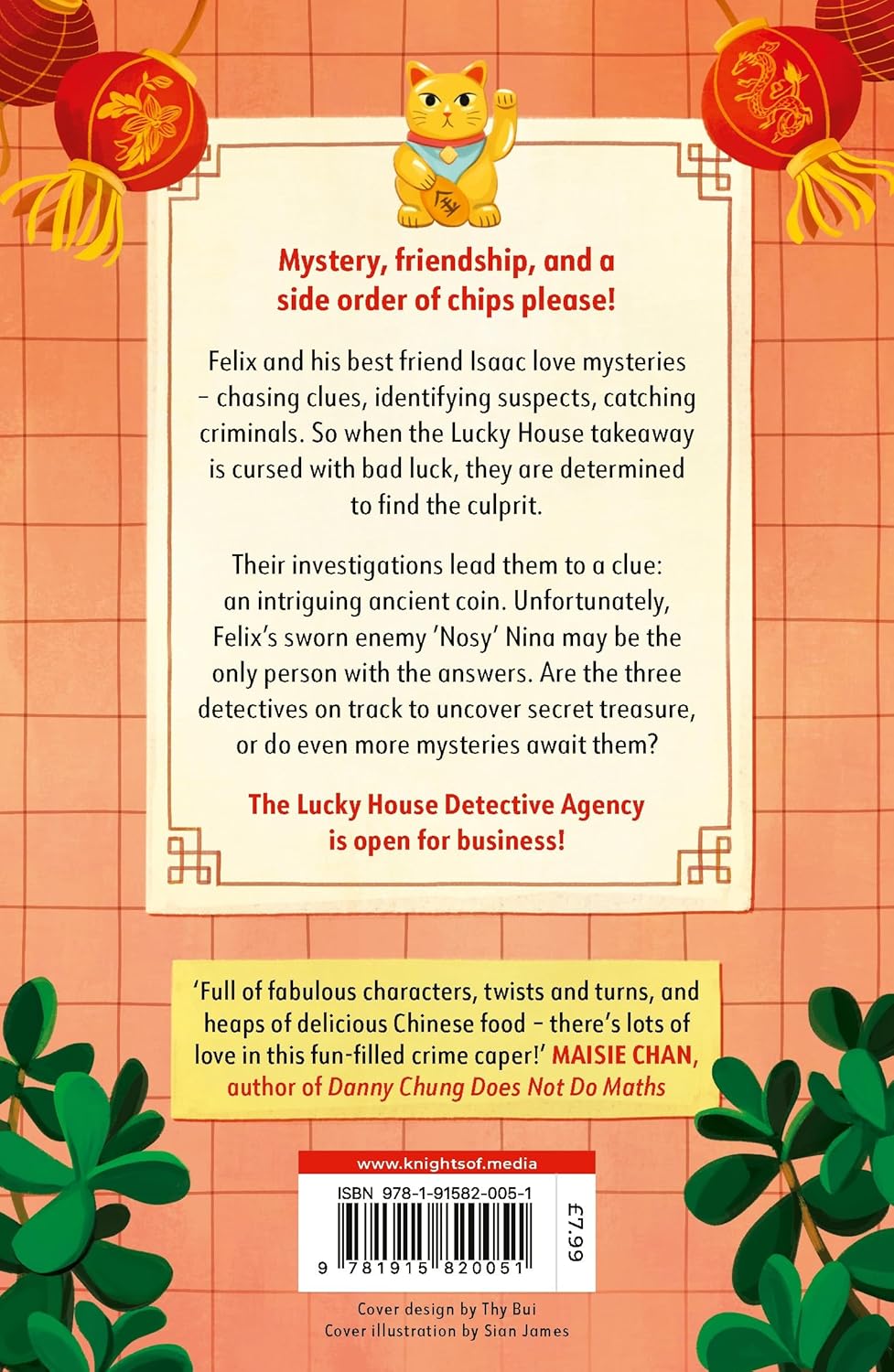The Lucky House Detective Agency by Scarlett Li 