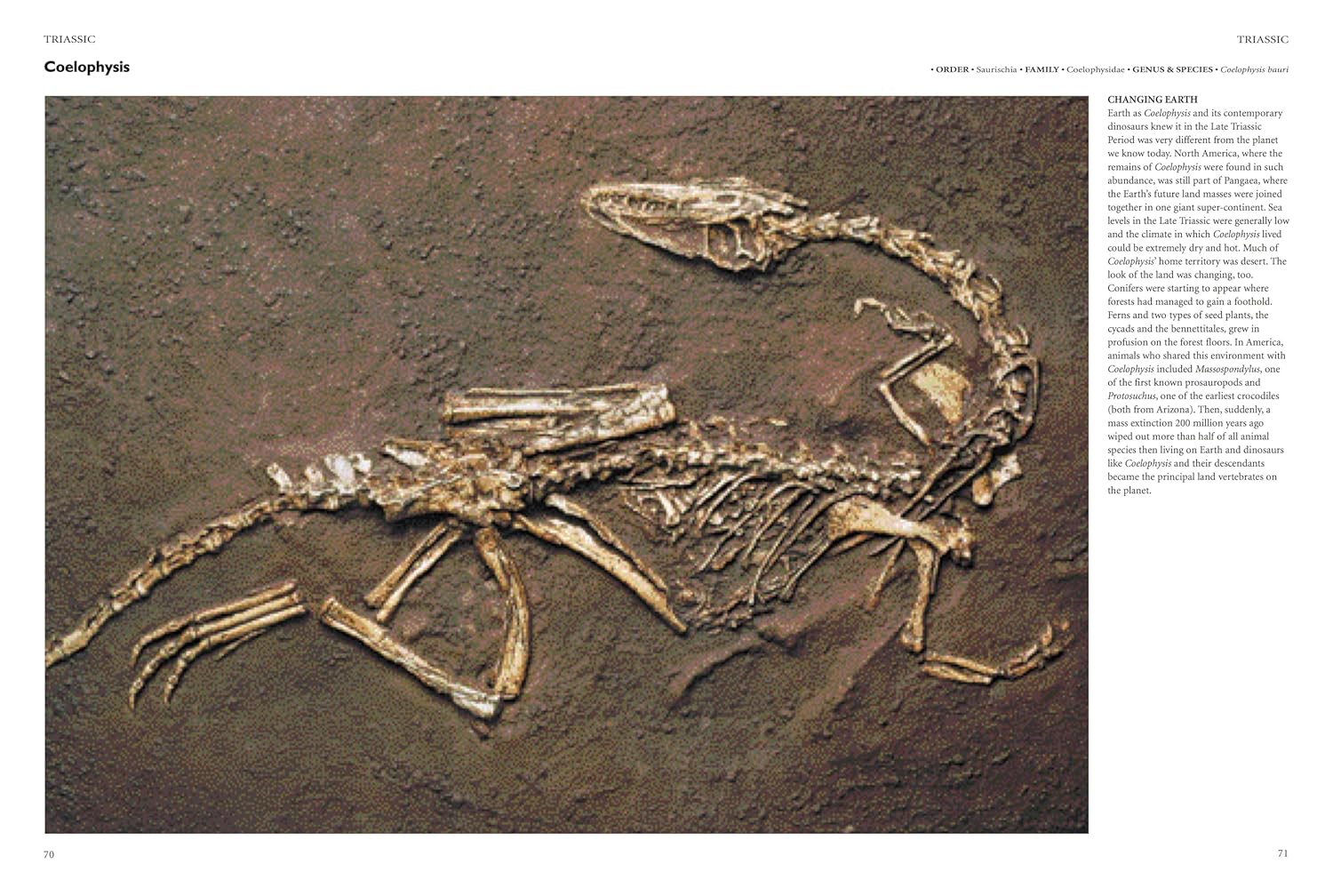 Encyclopedia of Dinosaurs (Hardcover)