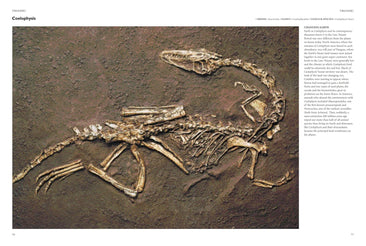 Encyclopedia of Dinosaurs (Hardcover)