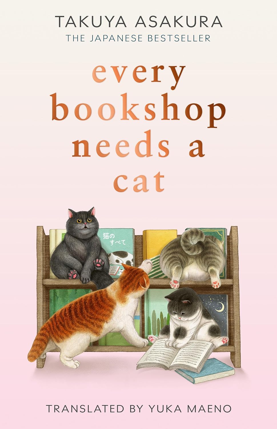 Every Bookshop Needs A Cat