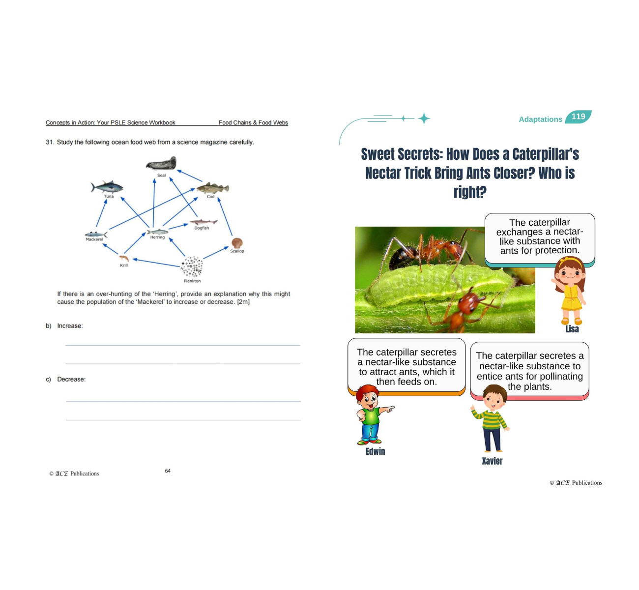 Primary 6 Science Bundle – Life Sciences (Get Your Concepts Right + Concepts In Action)