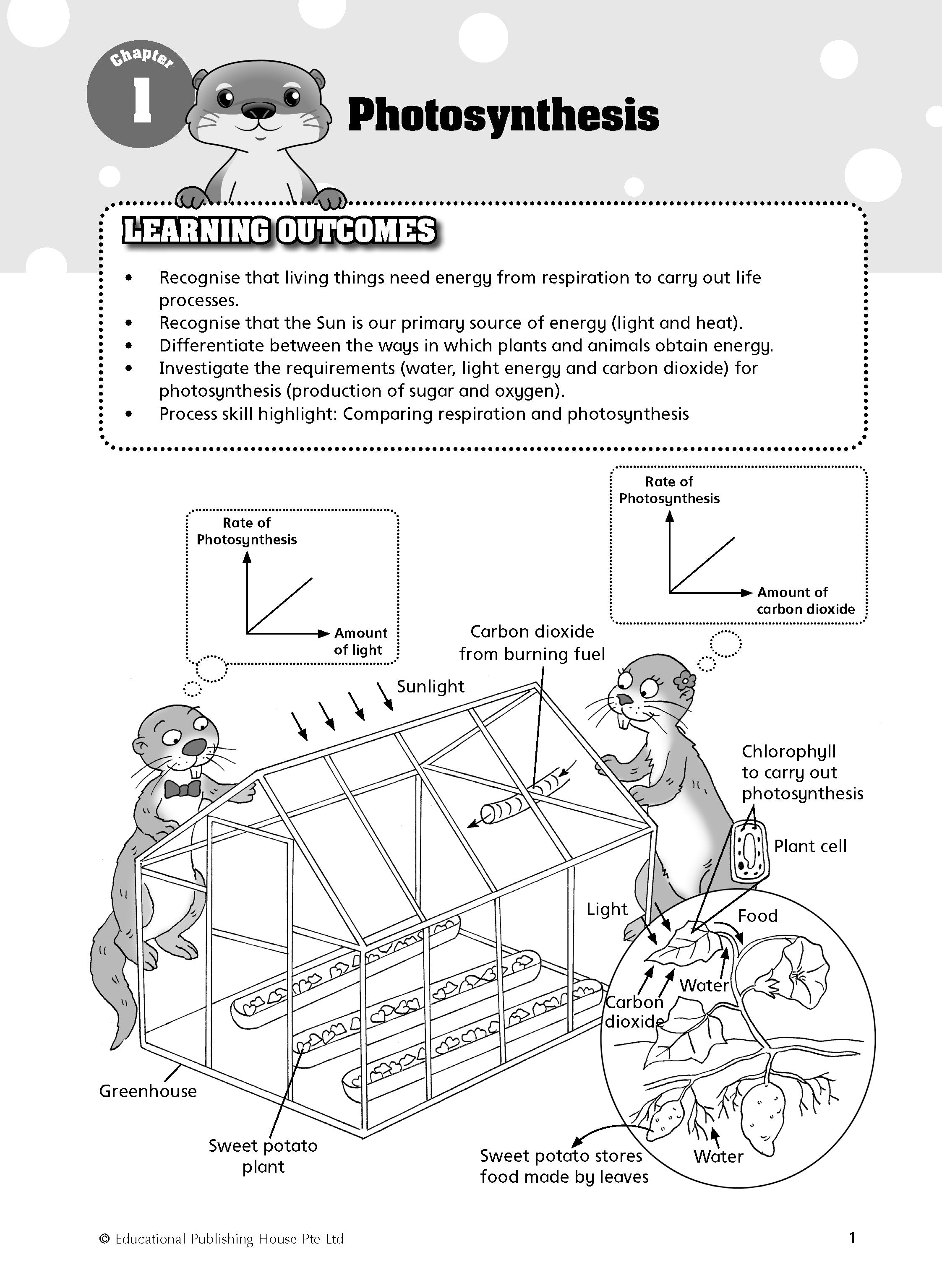 P6 Must Know Science Process Skills & Key Words