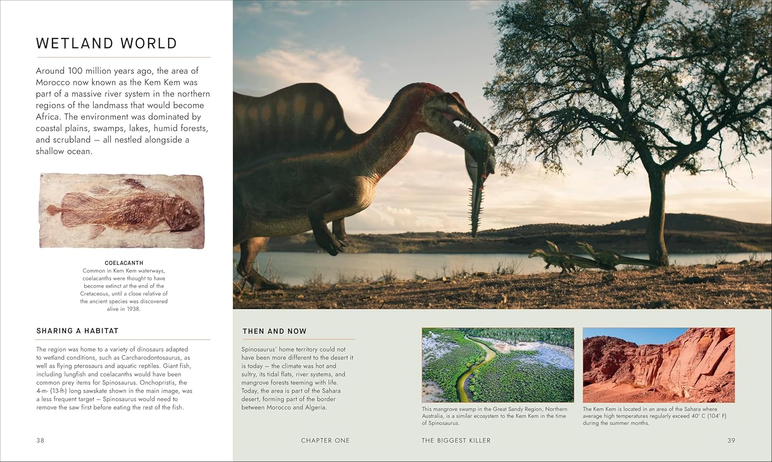 BBC Walking With Dinosaurs: Uncovering the Secret Stories of Prehistoric Life (Hardcover)
