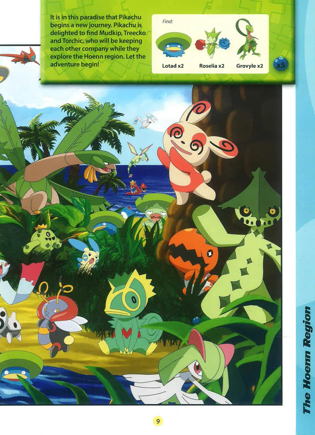 Pokemon Search And Find Adventure: The Hoenn Region (Paperback)