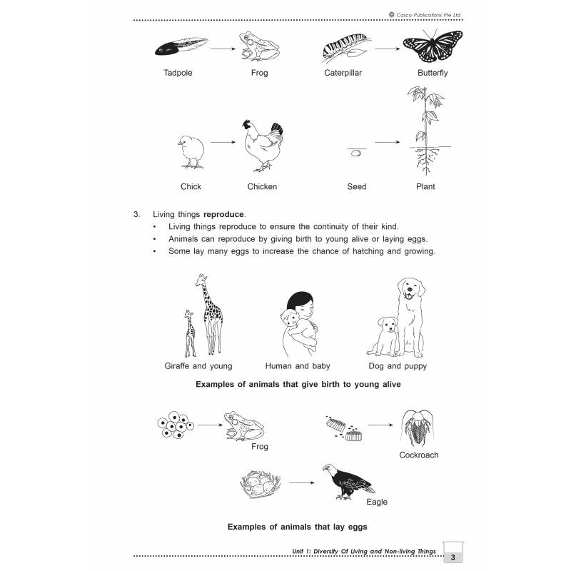 New Topical Science Primary 3 - 2nd Edition