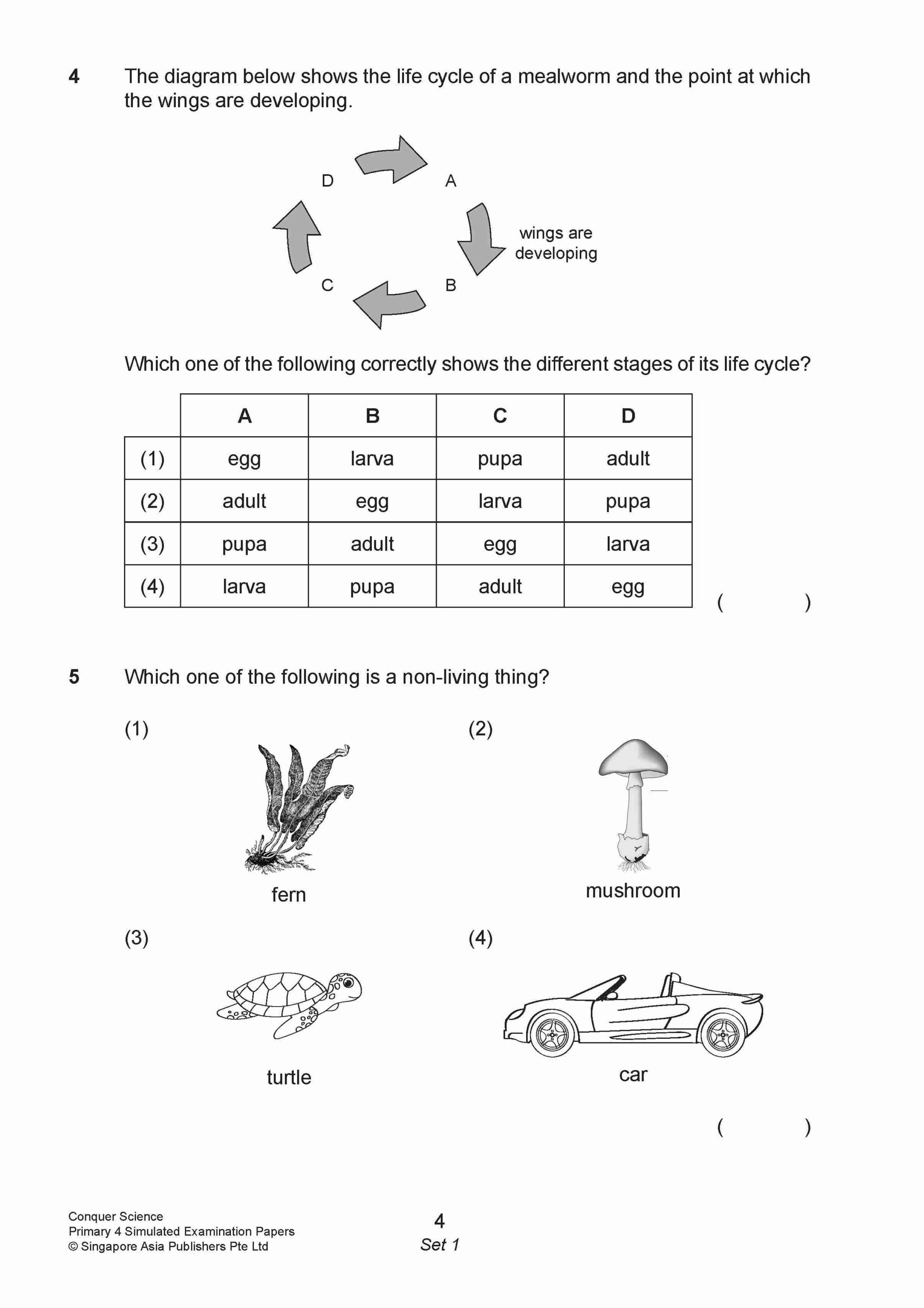 Conquer Science Primary 4 – Simulated Examination Papers
