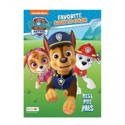 Paw Patrol Favourite Colour & Activity