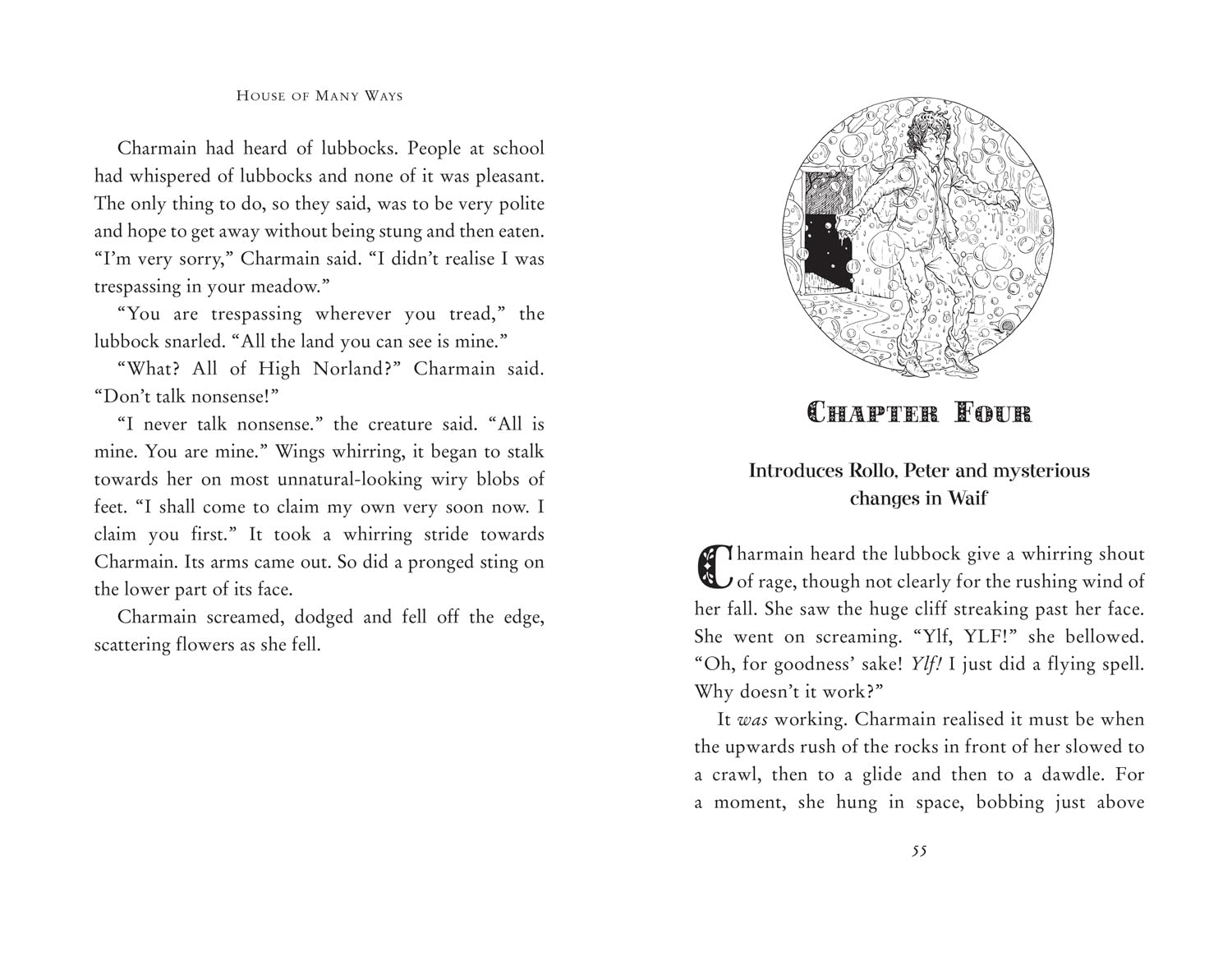 House of Many Ways (Paperback)