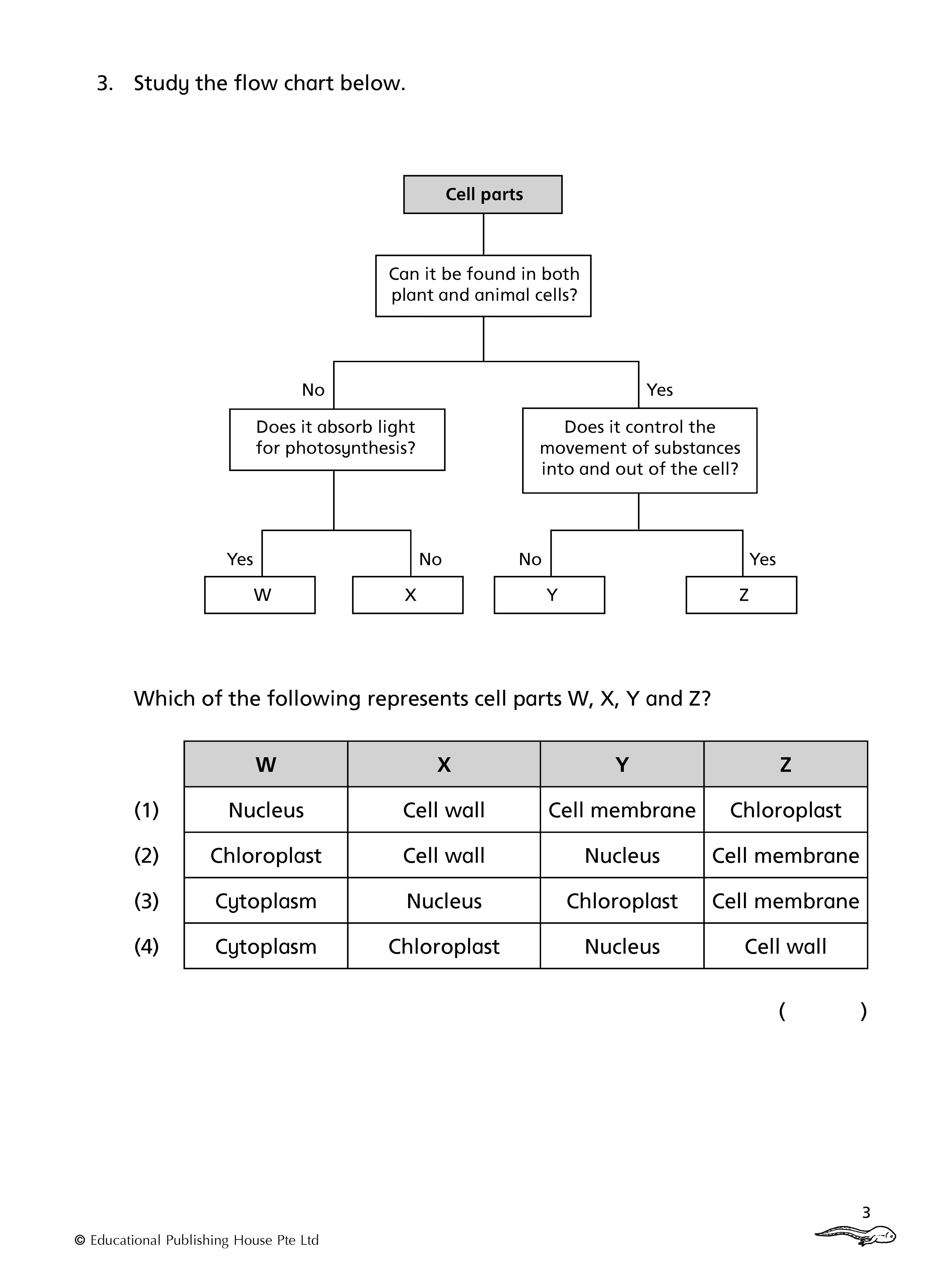Primary 5 Science Topical Class Tests - 3rd Edition