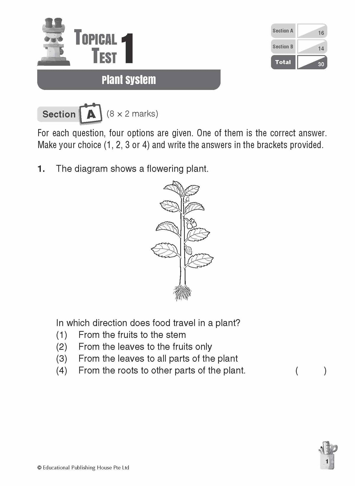 Primary 4 Science Topical And Thematic Tests