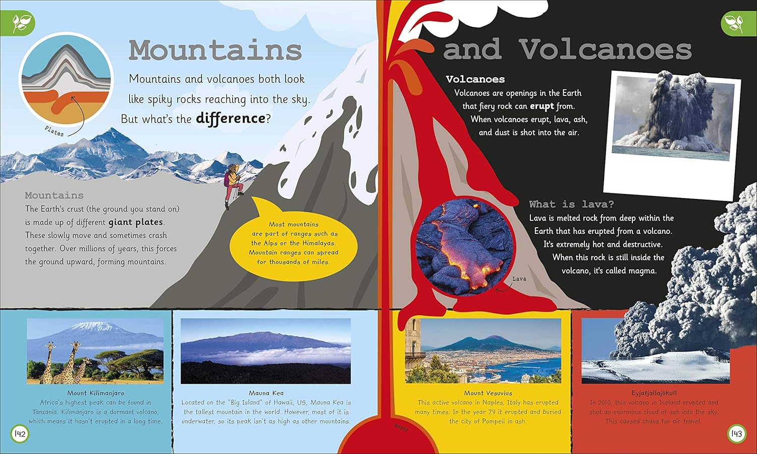 My Very Important World: For Little Learners who want to Know about the World