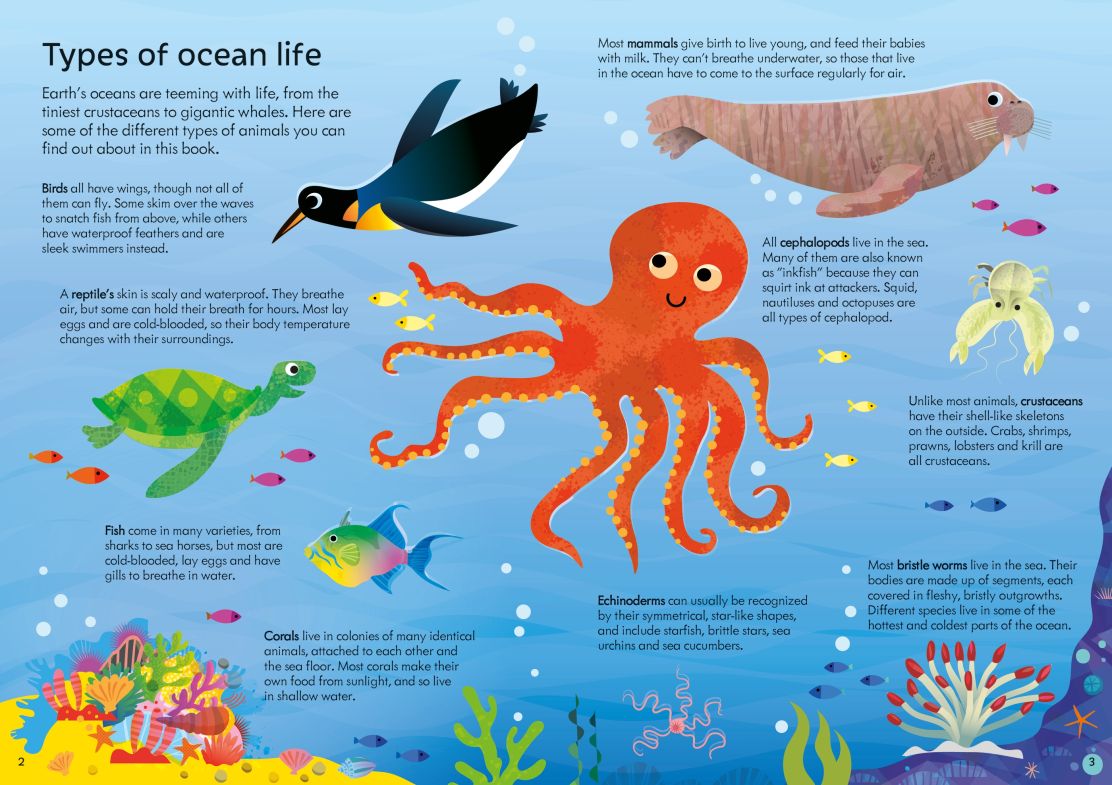 Usborne Book & Jigsaw: Oceans