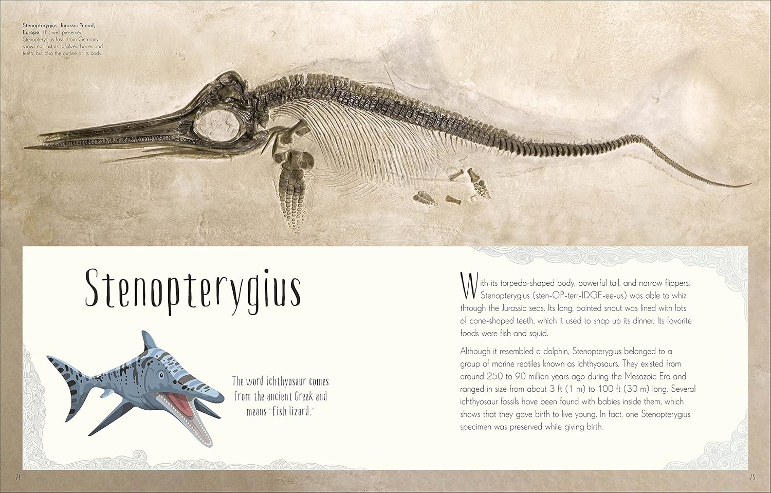 Dinosaurs and Other Prehistoric Life (Hardcover)