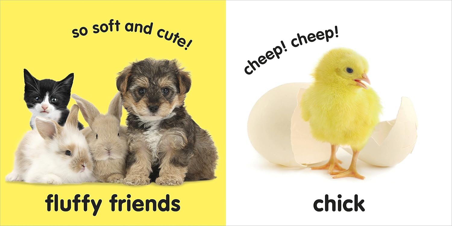 Baby Touch and Feel Fluffy Animals (Board Book)