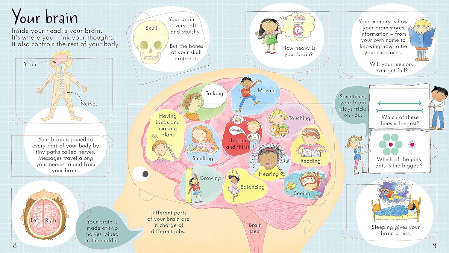 Look Inside Your Body
