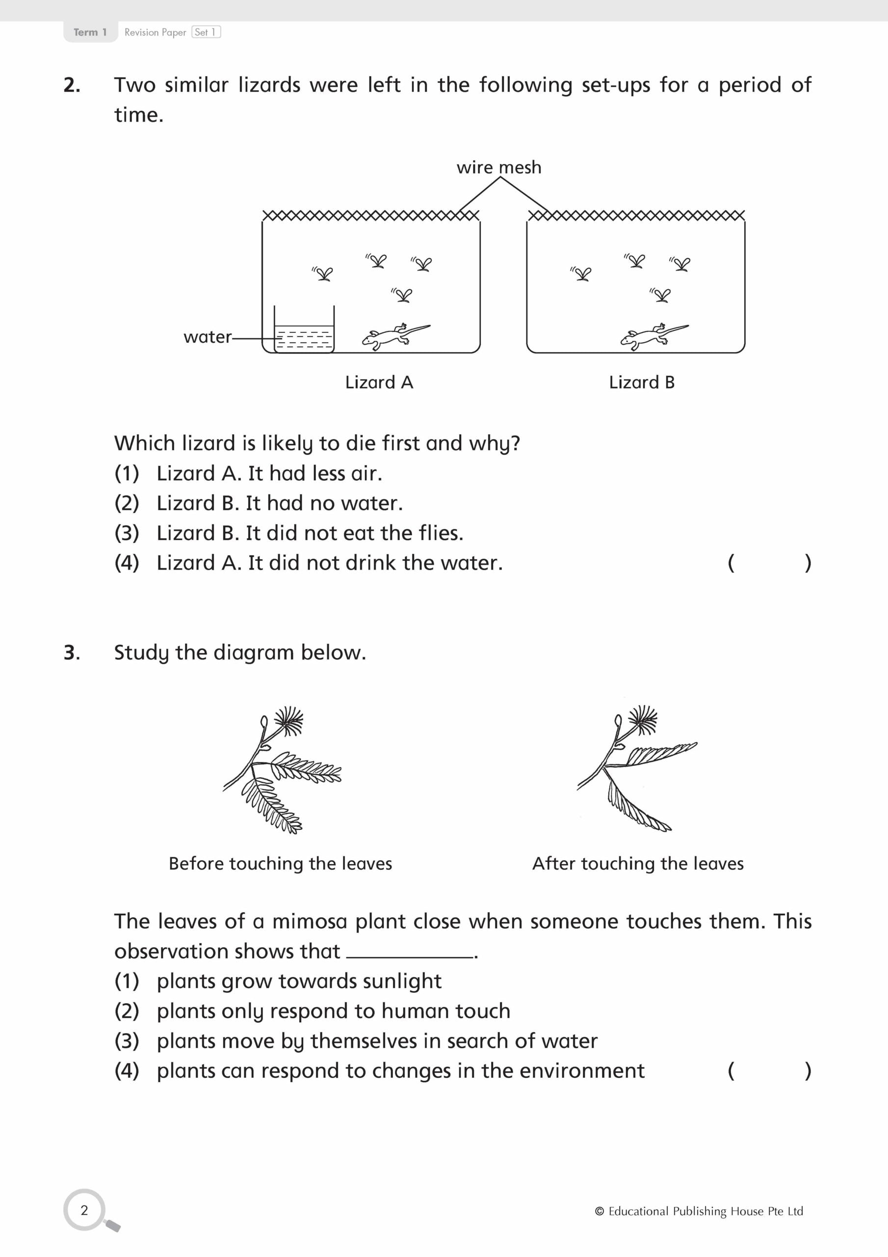 Primary 3 Science Revision Papers