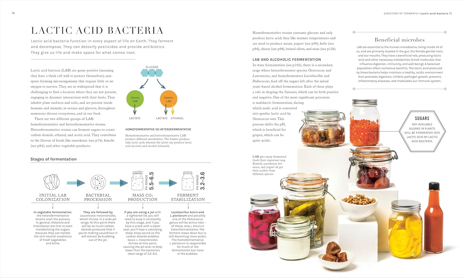 The Science Of Fermentation