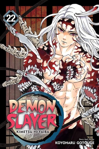 Demon Slayer: Kimetsu No Yaiba, Vol. 22 (Manga)