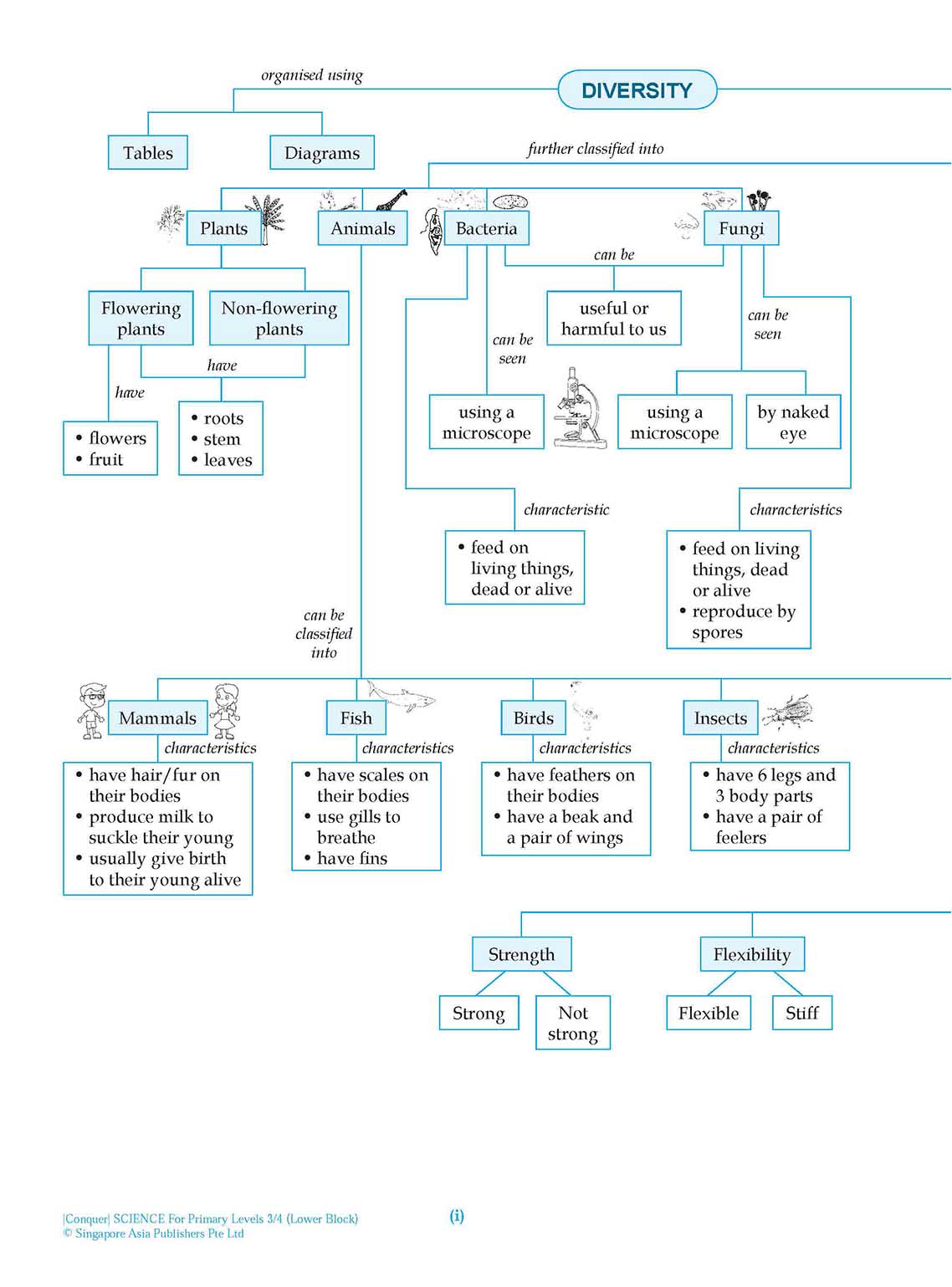 Conquer Science For Primary Levels 3/4
