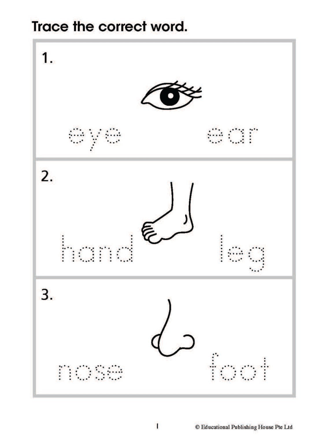 Write & Learn Vocabulary (n)