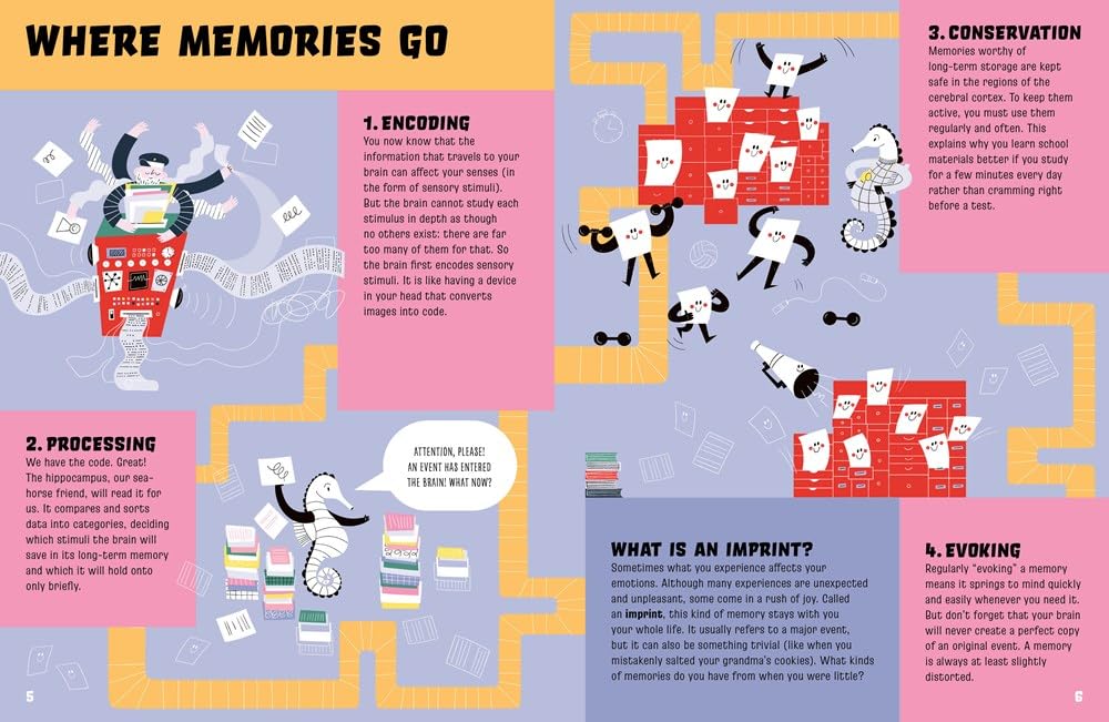 Our Marvelous Memory (How Your Brain Works)