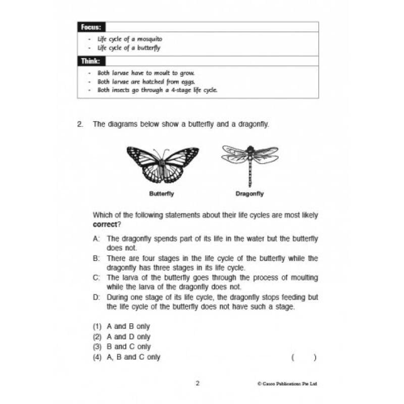 Focus and Think Science Primary 4