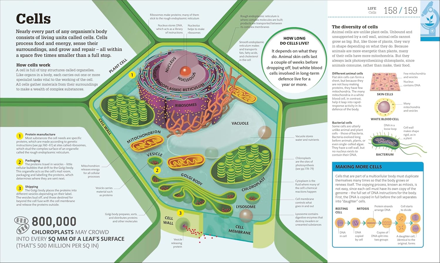 How Science Works: The Facts Visually Explained (Hardcover) 
