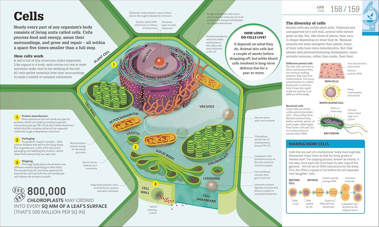 How Science Works: The Facts Visually Explained (Hardcover) 