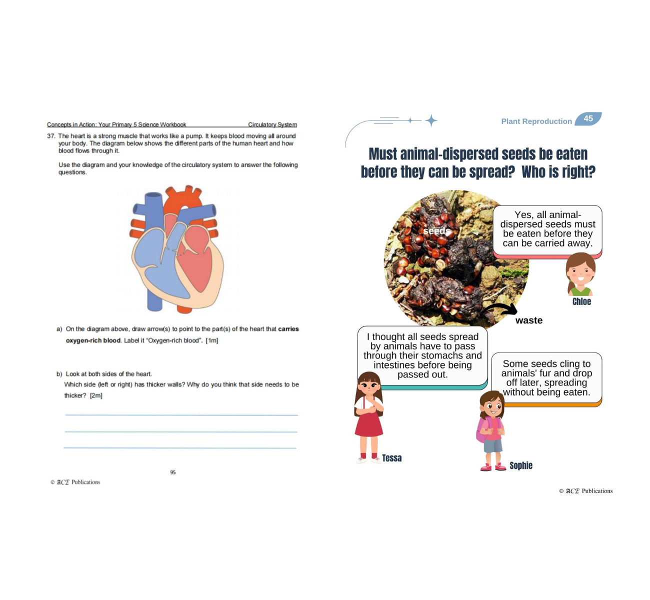 Primary 5 Science Bundle – Life Sciences (Get Your Concepts Right + Concepts In Action)