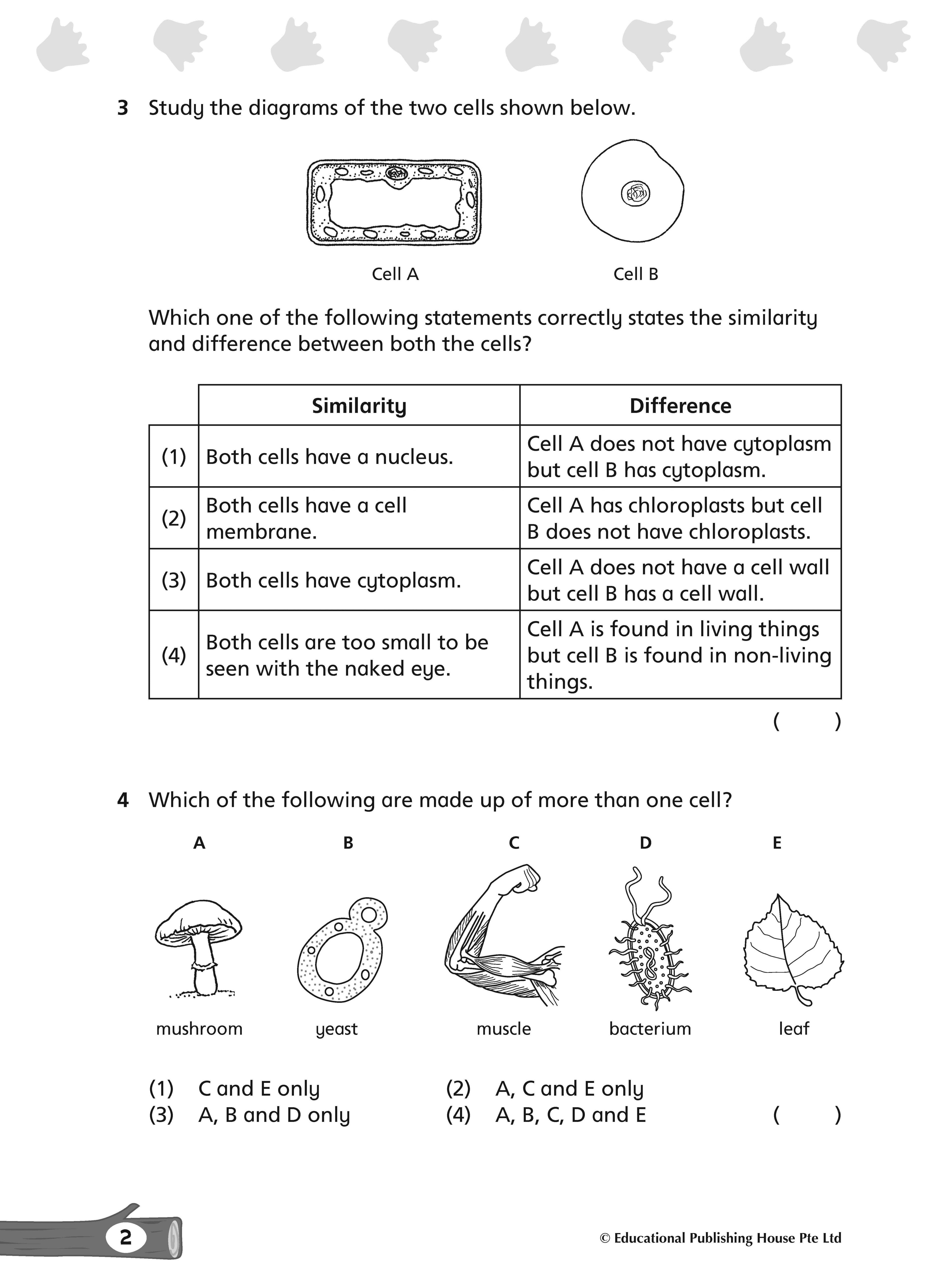 Primary 5 Complete Science Topical Tests - 2nd Edition