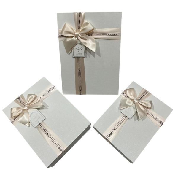 Gift Box (M) 26*19*8 Y91307
