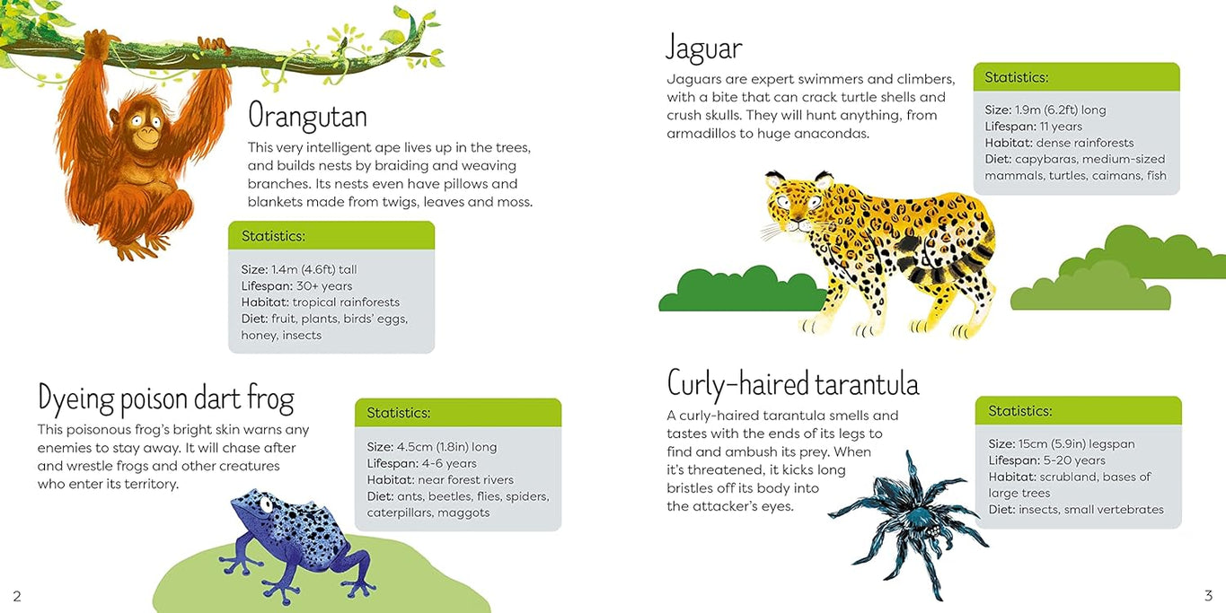 Usborne Book And Jigsaw: Wild Animals