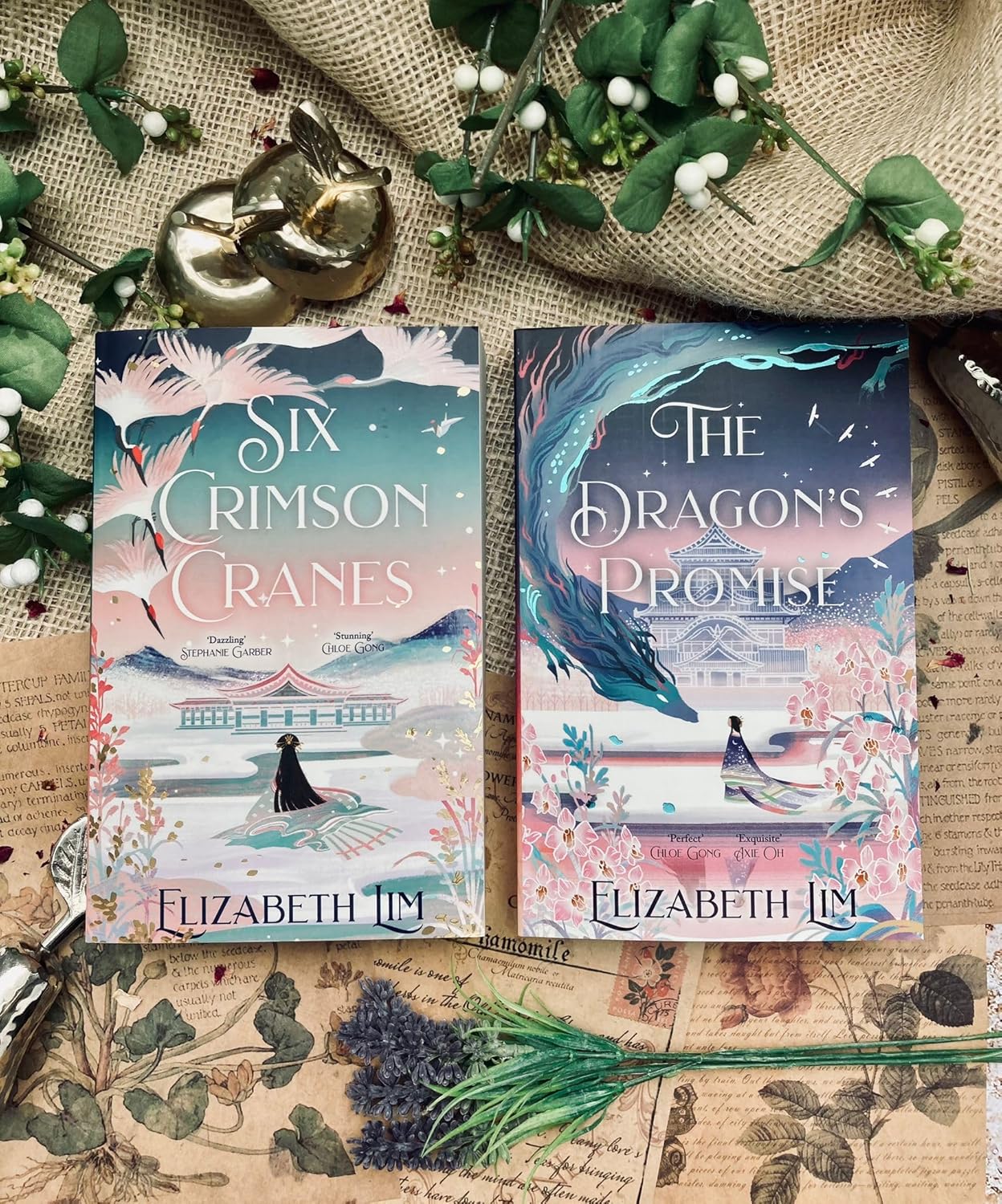 The Dragon's Promise: Sequel to Six Crimson Cranes (Paperback)