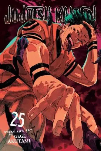 Jujutsu Kaisen, Vol. 25 - Jujutsu Kaisen