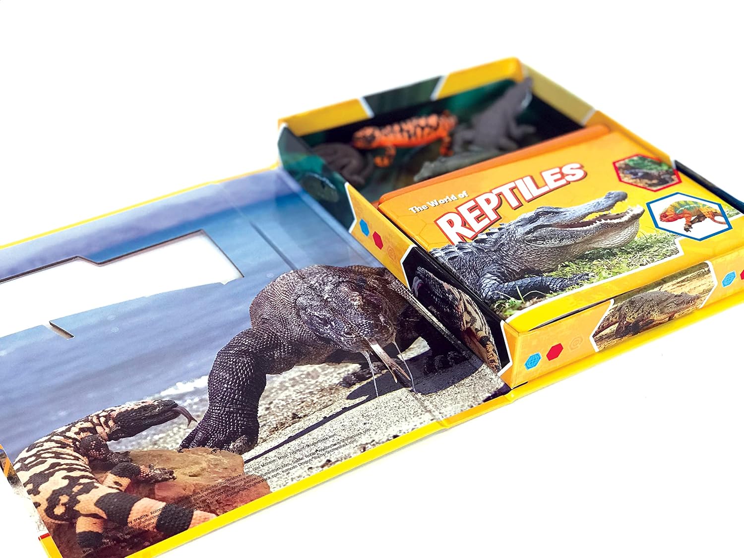 Pocket Explorer: Reptiles