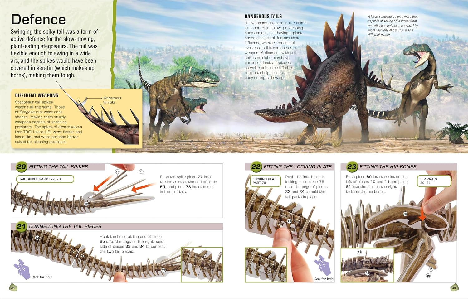 Make Your Own Stegosaurus (Hardcover) 