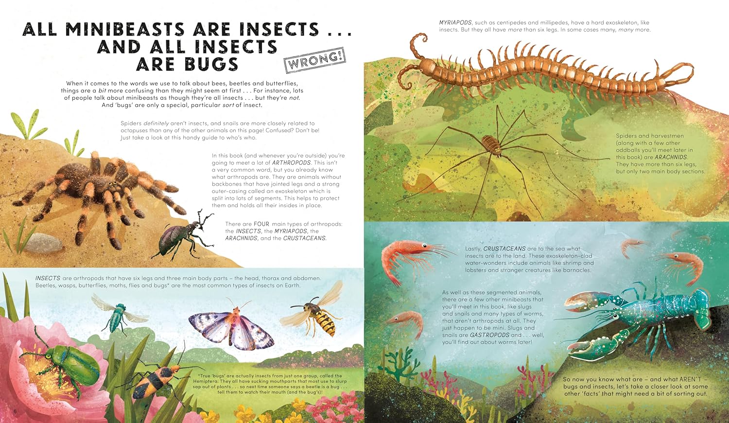 Everything You Know About Minibeasts is Wrong!
