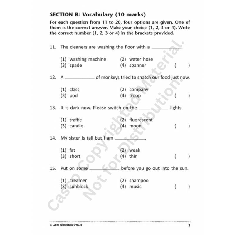 Primary 2 English 10 Class Tests