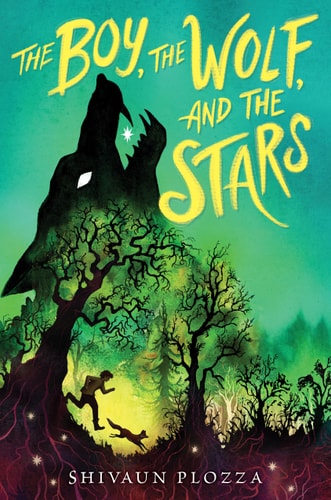 The Boy, the Wolf, and the Stars: A Fantasy Quest About Friendship, Magic, and Shadow Creatures for Children Ages 8-12 (Paperback)