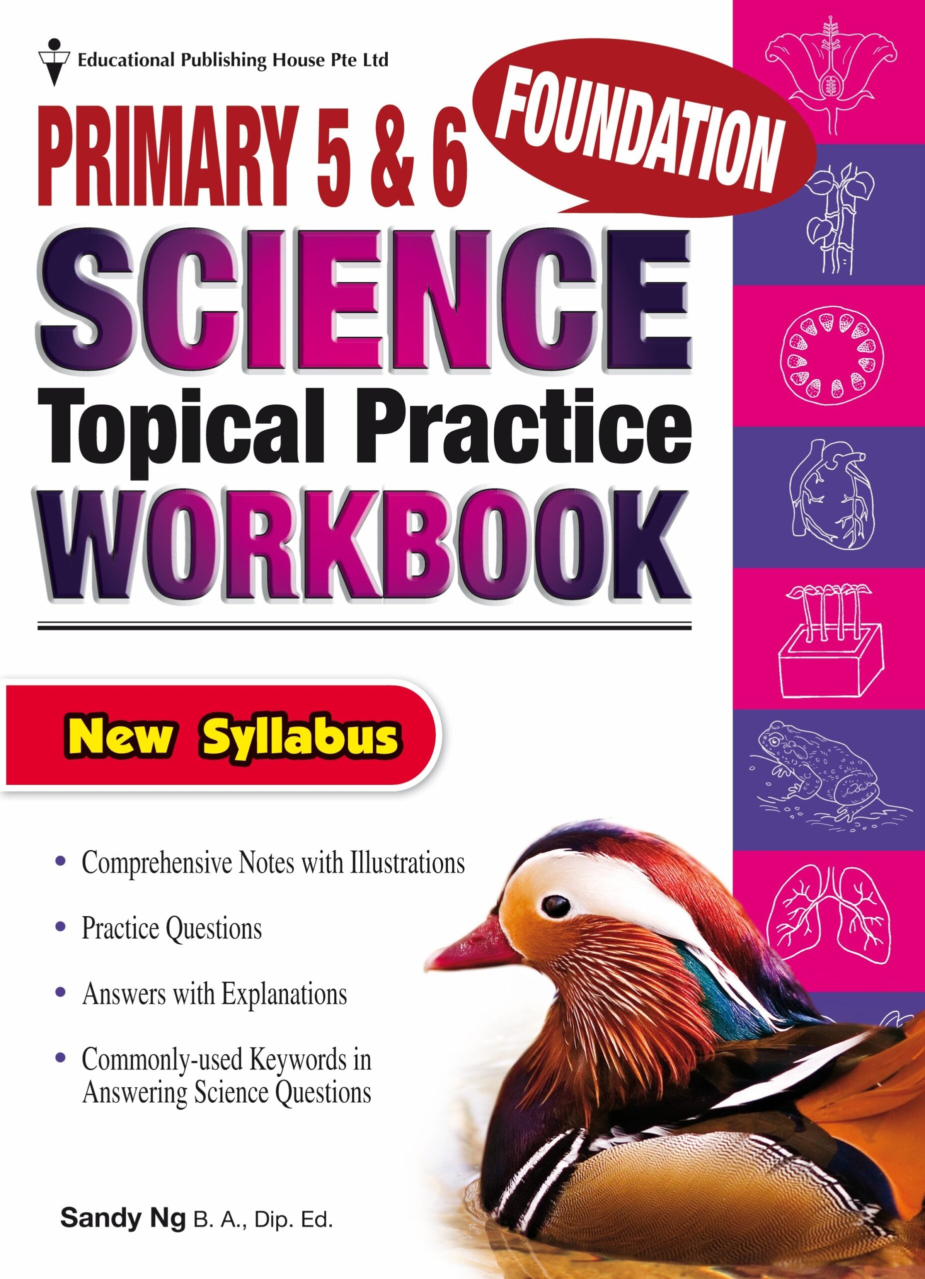 Primary 5/6 Foundation Science Topical Practice Workbook