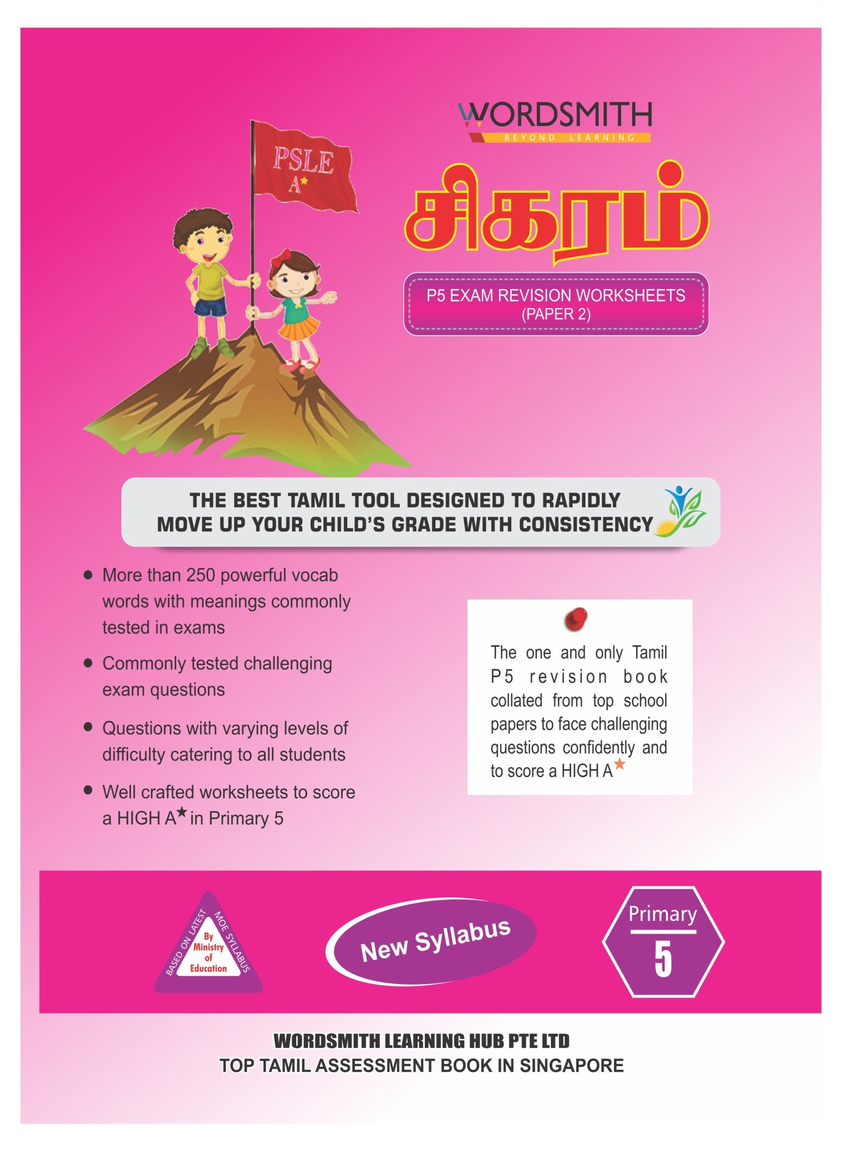 Primary 5 – Tamil Exam Revision 12 Worksheets – Paper 2