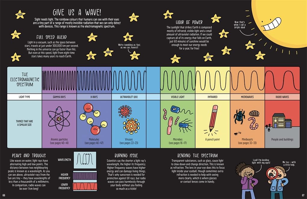 Meet the Invisibles: From Gravity and Gas to Bacteria and Bugs (Paperback)