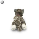 Uw Ss 12 Laying Cat