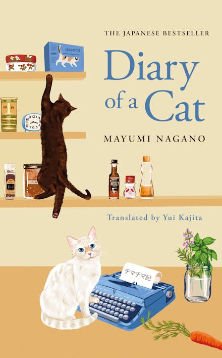 Diary Of A Cat